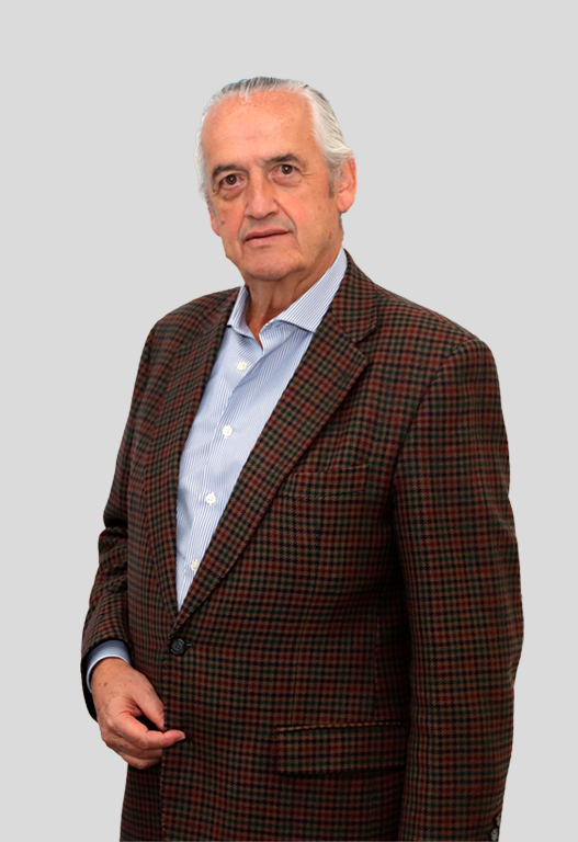 José González del Yerro